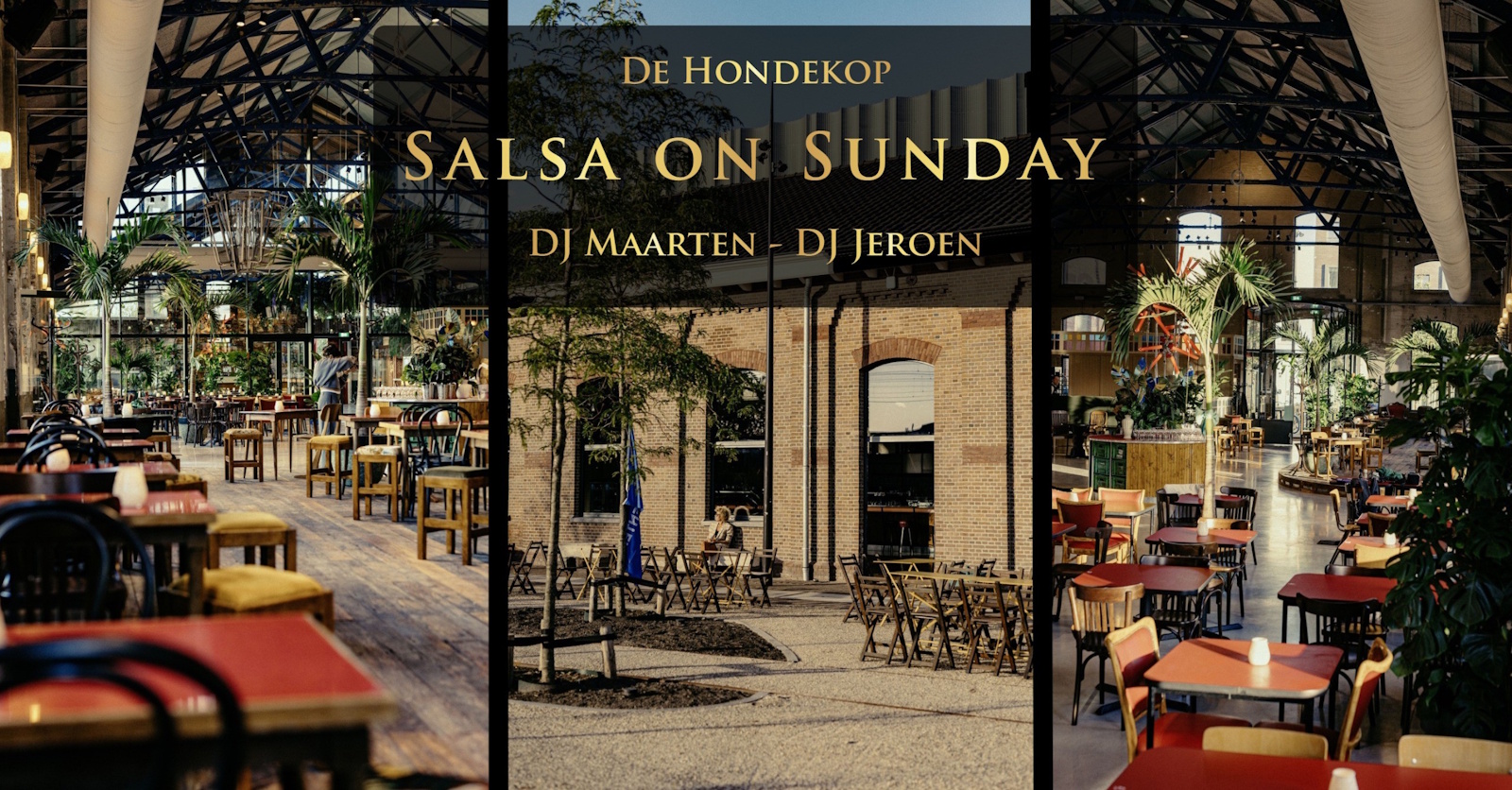 Cover photo for Salsa On Sunday in de Hondekop by MJ Music and Dance Productions