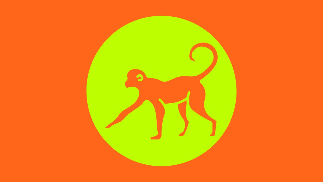 Cover photo for Mondays 20:15- 21:15 - Primal Movement Bootcamp by Creative Company The Kitchen