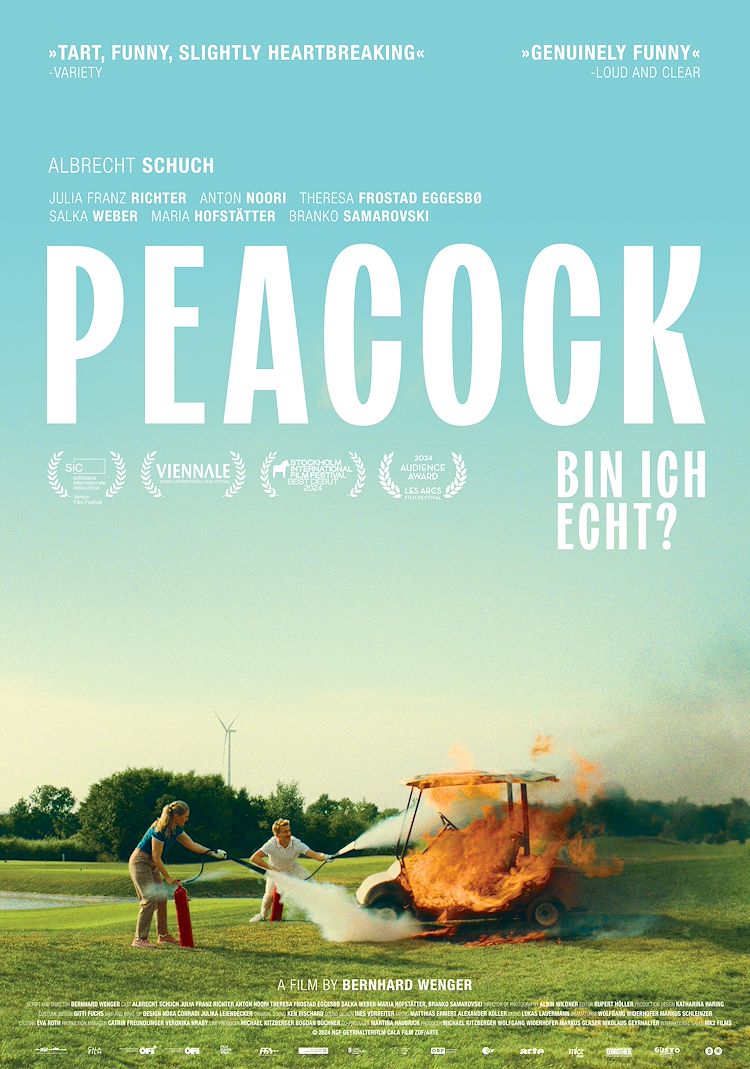 Cover photo for Peacock by Stichting Kunst & Cultuur Zoetermeer