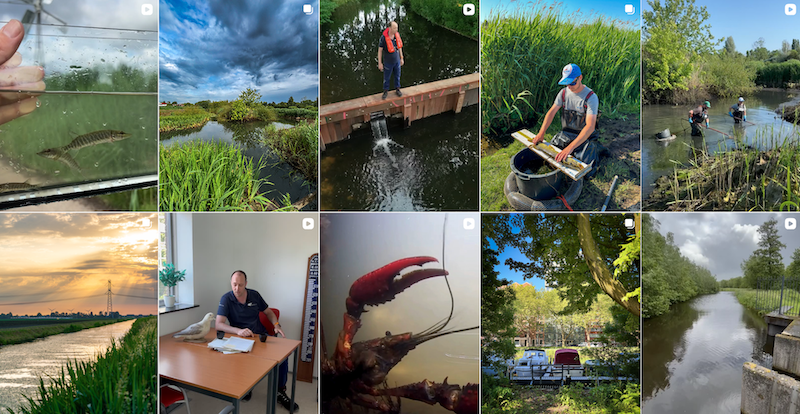 Cover photo for Droge Voetenwandeling op het Rotterdams Ommelandpad by Rotterdams Ommelandburo