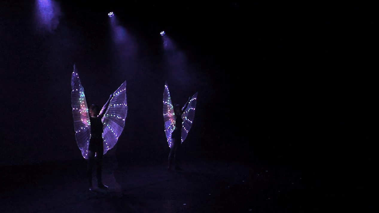 Cover photo for Eindshow Junioren Alphense Dansschool 2026 "Dansen in het bos" SHOW 1 by Alphense Dansschool