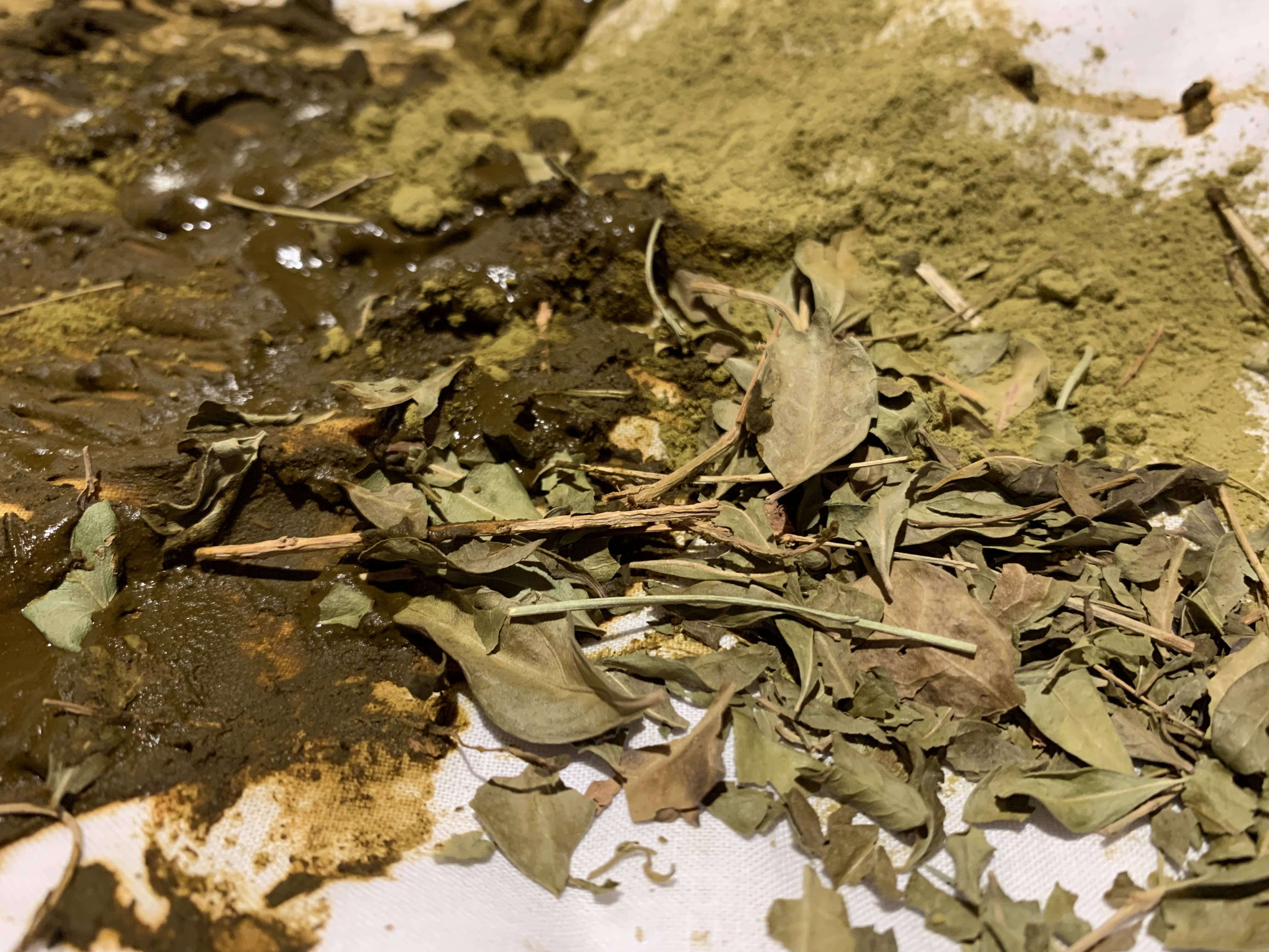 Cover photo for Monday 25 November by Dancing on the Edge