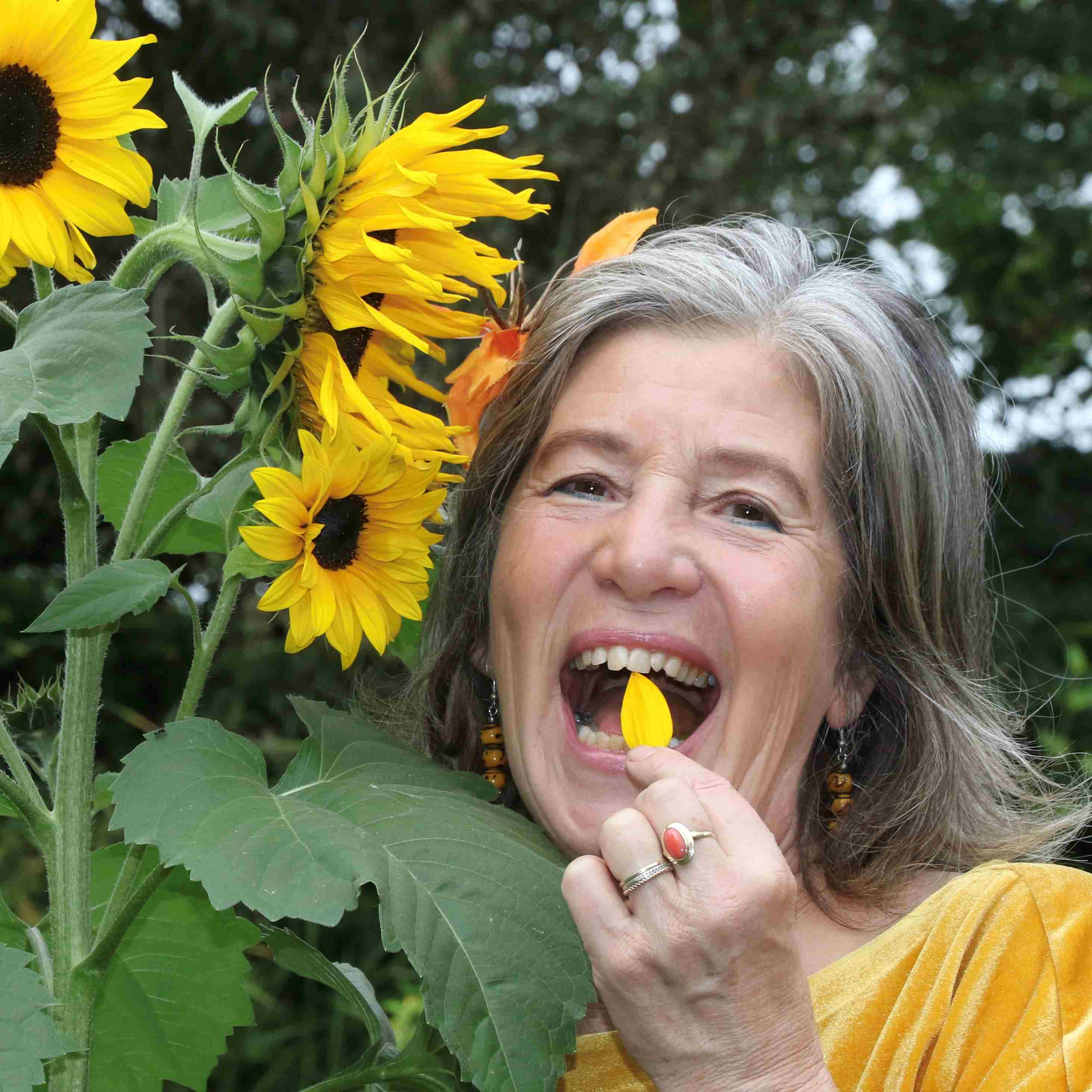 Cover photo for Rondleiding ’Elke week bloemen op je bord’ om 13:30 uur by Hortus Alkmaar