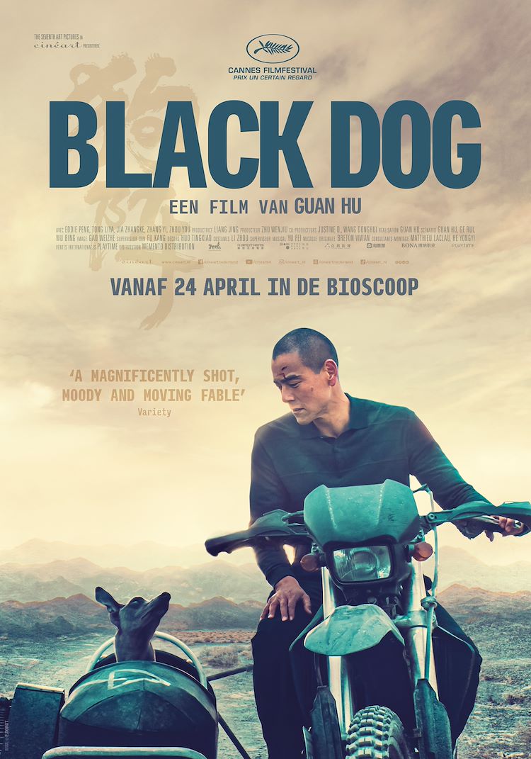 Cover photo for Black Dog by Stichting Kunst & Cultuur Zoetermeer