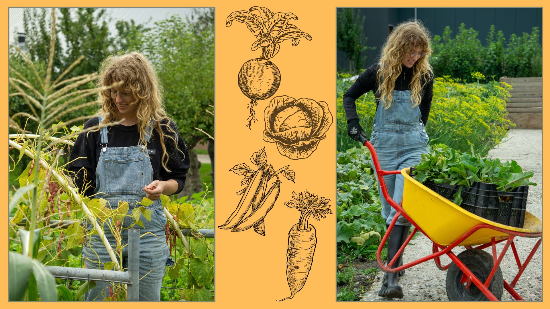 Cover photo for Kookworkshop – Low Waste & Vegetarisch met Lolita 18:30-20:00 uur, 15 augustus by Haarlemmer Kweektuin
