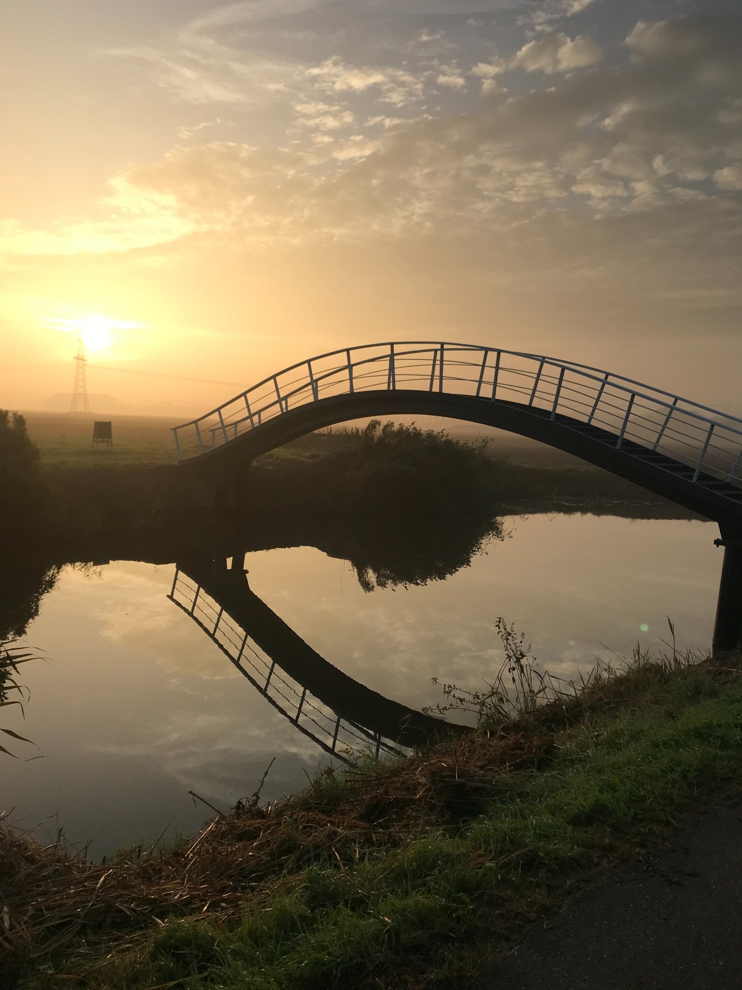 Cover photo for Dauwtrappen met Hemelvaart by Op Maarhuizen