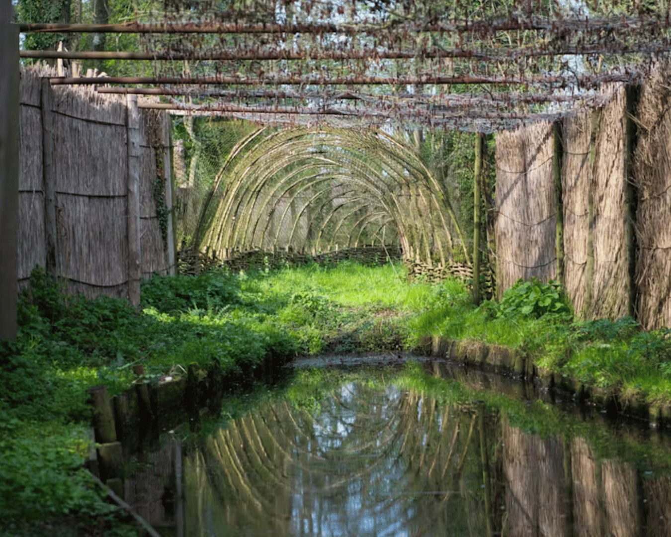 Cover photo for Ontdek eendenkooi Bakkerswaal by Zuid-Hollands Landschap