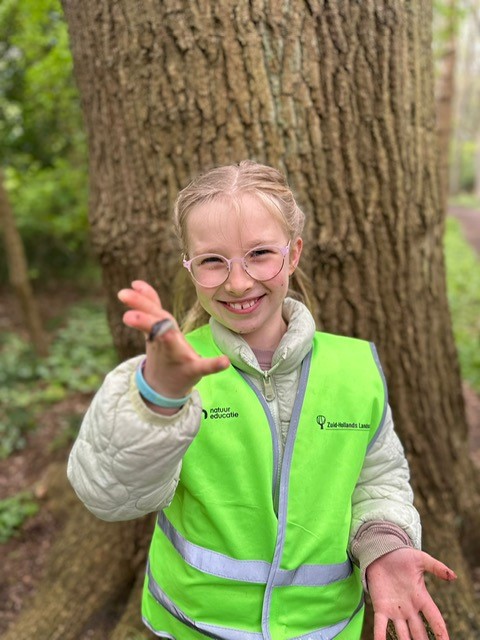 Cover photo for Duin-Lab Kriebelbeestjes by Zuid-Hollands Landschap