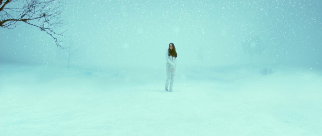 Cover photo for Festival: White Bird in a Blizzard by Roffa Mon Amour