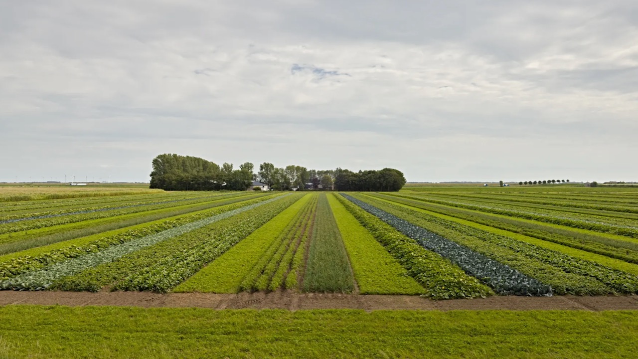 Cover photo for Good Food Agenda: rondleiding door boer-innovator Cornelis Mosselman van Vooruitboeren in Ooltgensplaat by Rotterdams Ommelandburo