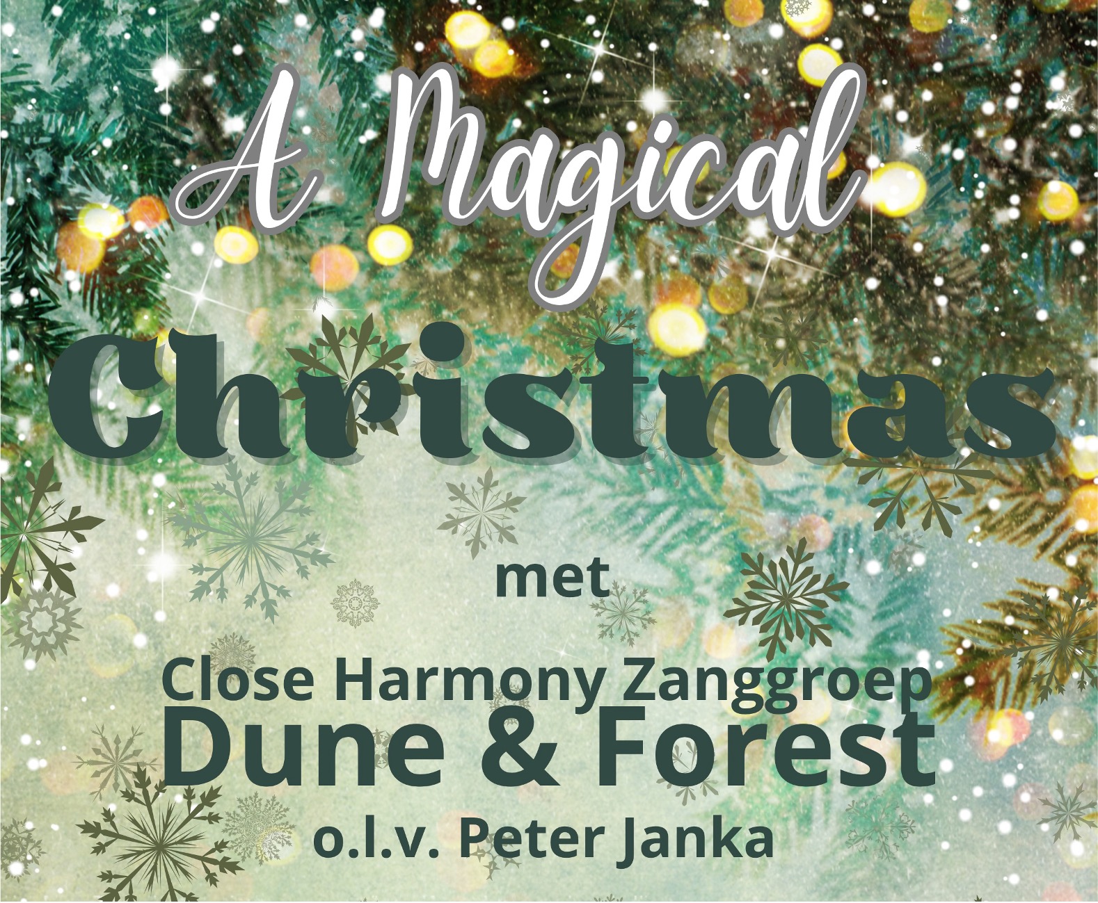 Cover photo for Kerstconcert 'A Magical Christmas' by Dune & Forest