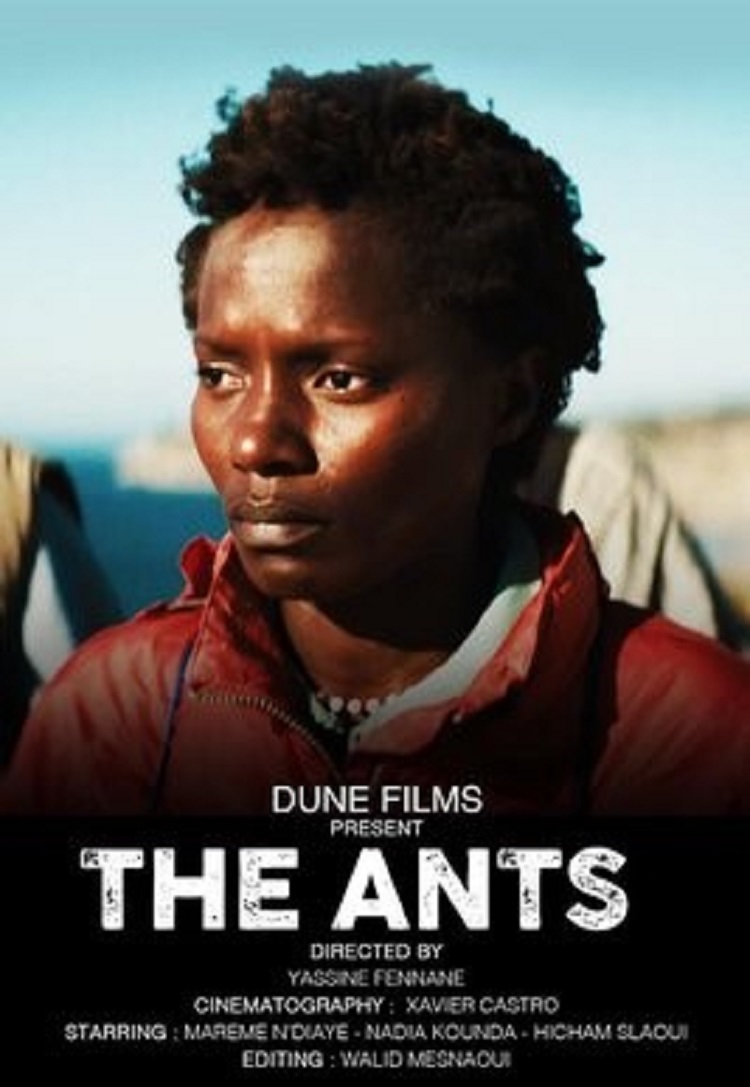 Cover photo for The Ants by Maghreb Film Festival