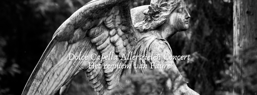 Cover photo for Allerzielen concert by Stichting GroteKerk Schermerhorn