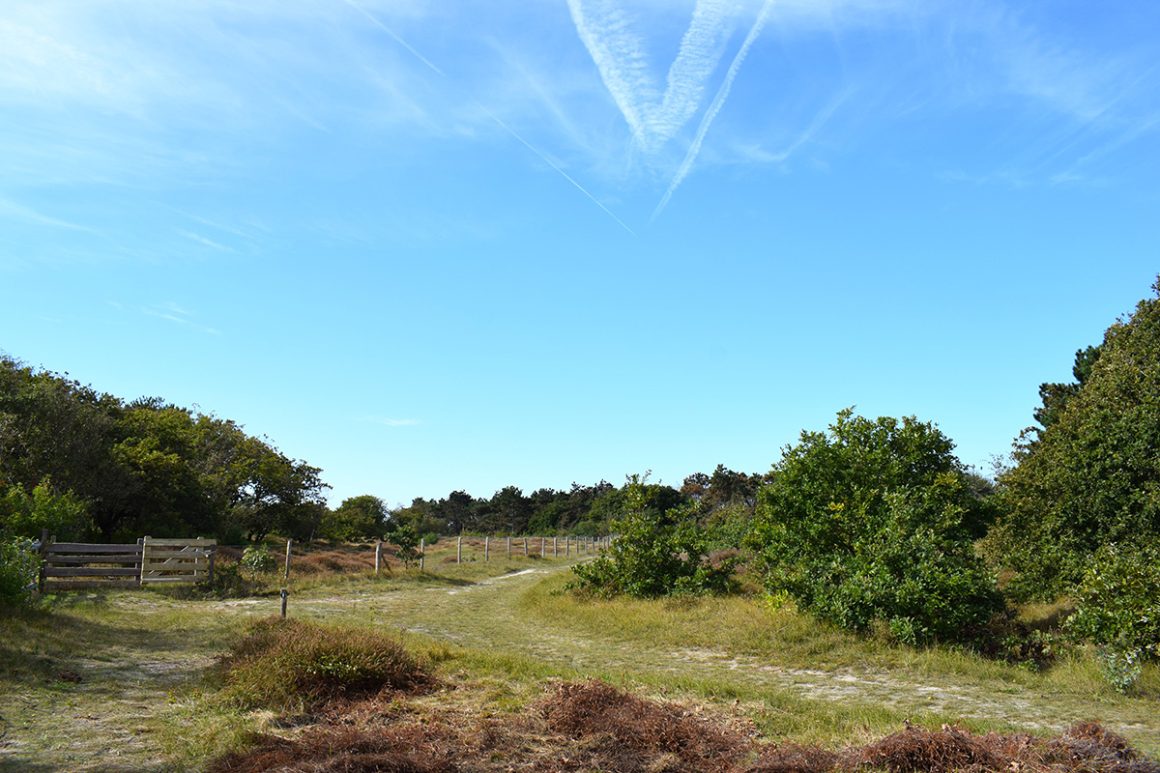 Cover photo for Cultuurhistorie in Solleveld by Theater Villa Ockenburgh