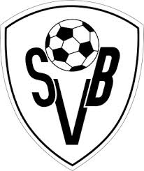 Cover photo for Sv Blerick by SVBlerick