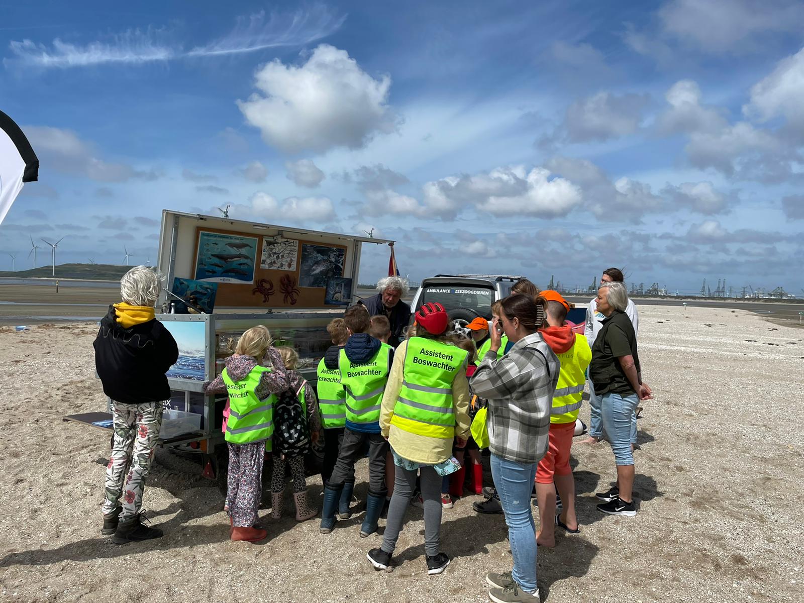 Cover photo for Duin-Lab Strand by Zuid-Hollands Landschap