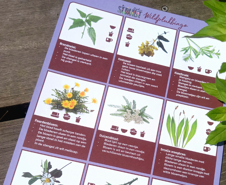 Cover photo for Wildplukbingo! by Daphne STRUINT