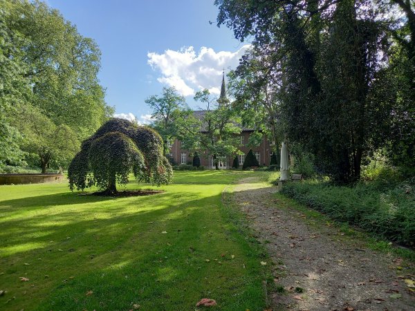 Cover photo for Bomenwandeling by Groen Hart Leudal