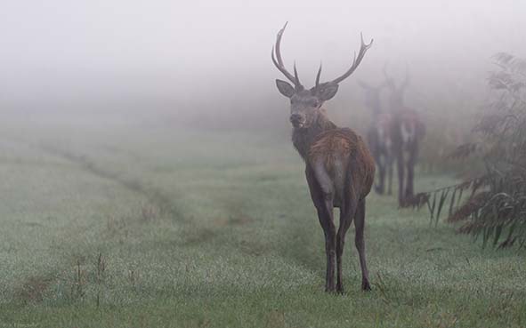 Cover photo for Bronstexcursie (wandel) by Het Flevo-landschap