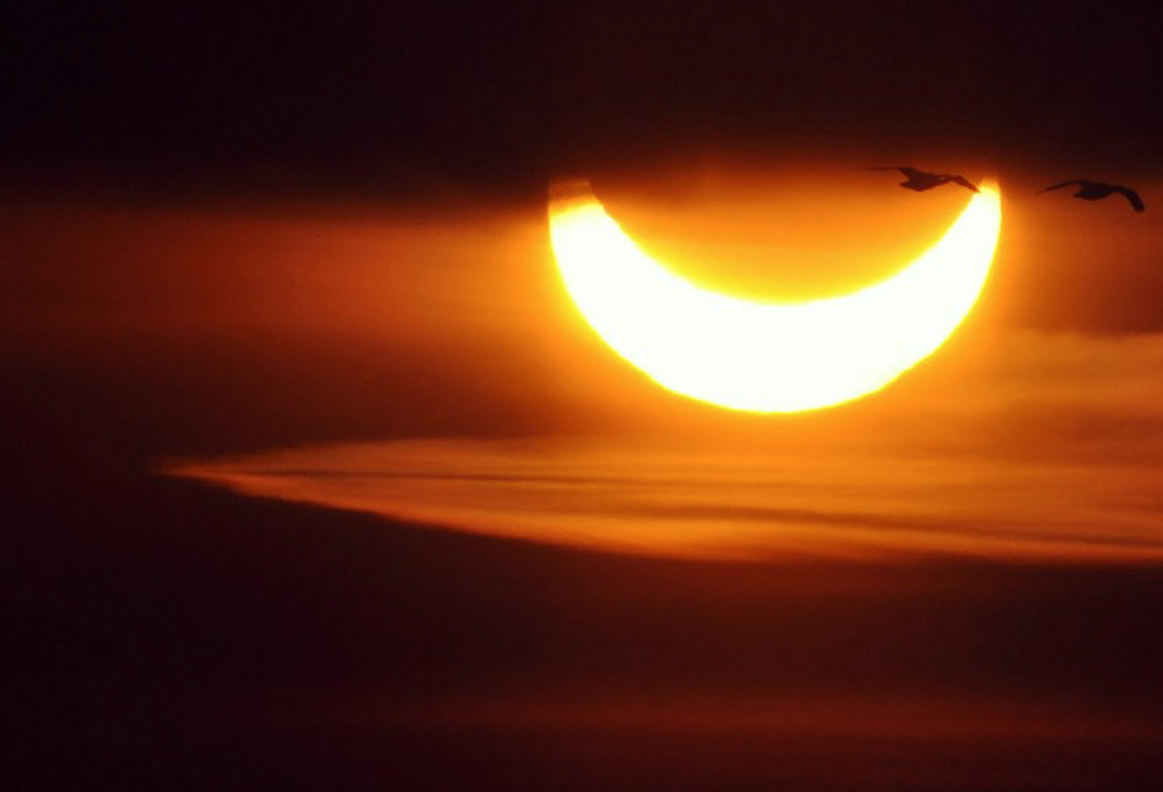 Cover photo for Showtime in de Kosmos! Zonsverduistering en Perseïden by OBSERVEUM