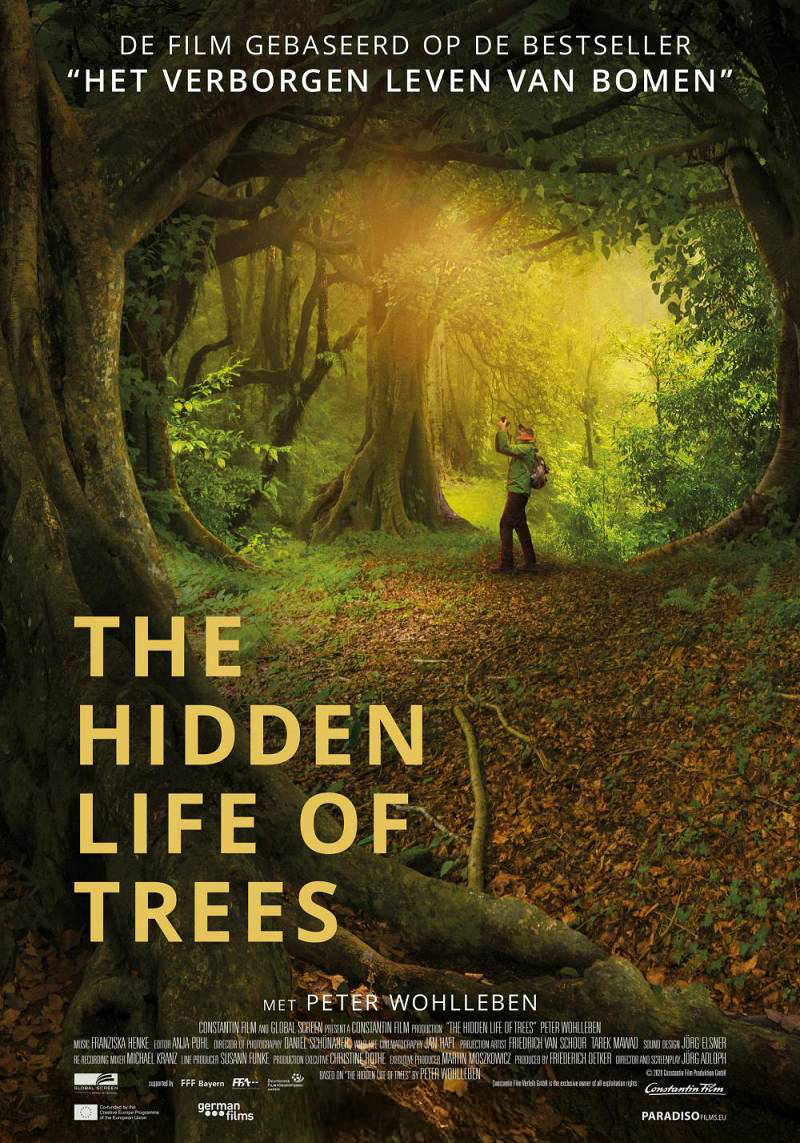 Cover photo for Natuurfilm The Hidden Life of Trees by Utrechts Landschap
