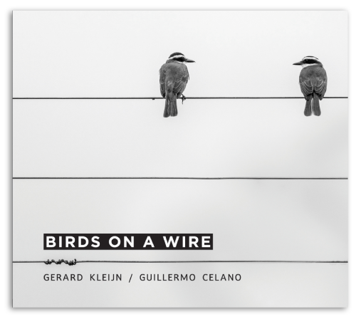 Cover photo for Cd Presentatie Birds On A Wire / Gerard Kleijn- Guillermo Celano - Cloudfish by GK muziek en theater