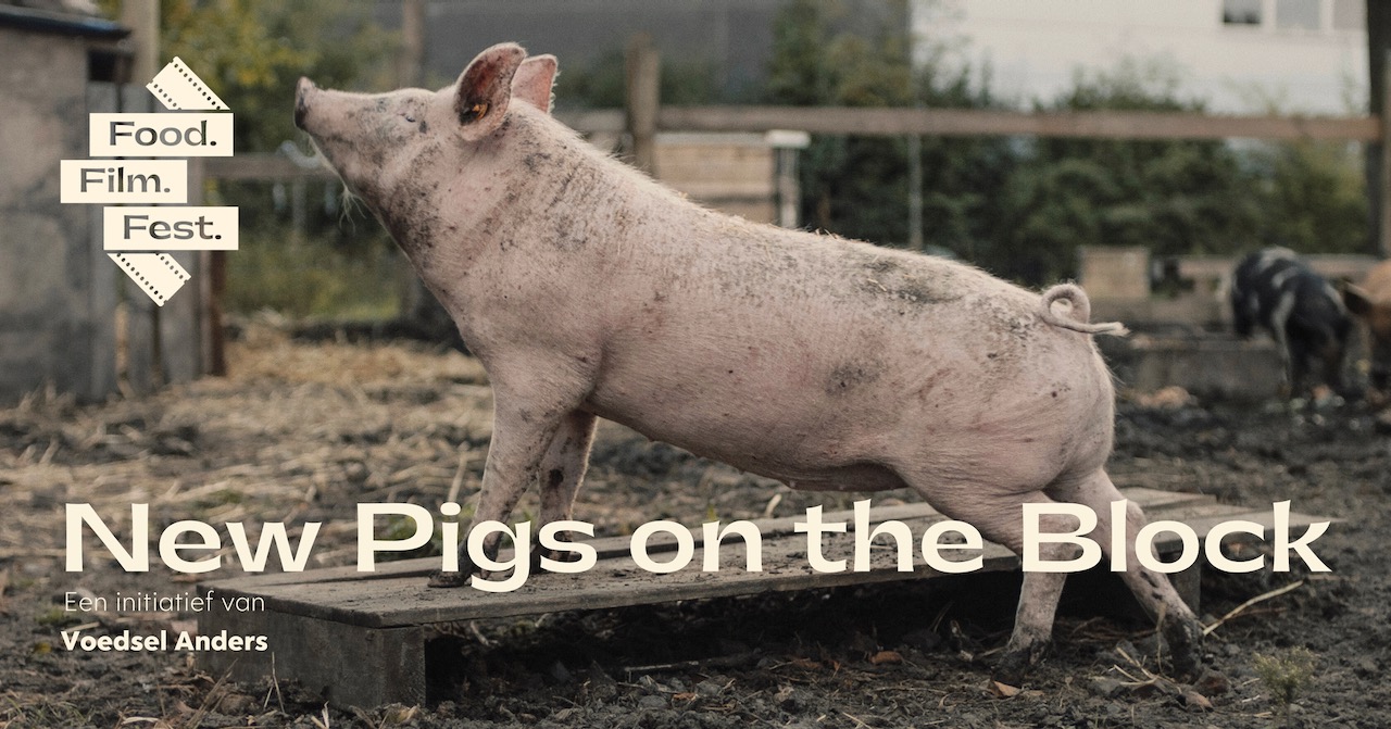 Cover photo for Film 'New Pigs on the Block' - Food Film Festival - De Kantine Spangen @Schiezicht by Food.Film.Fest Spangen - Tickets via Pleidooi voor Plek