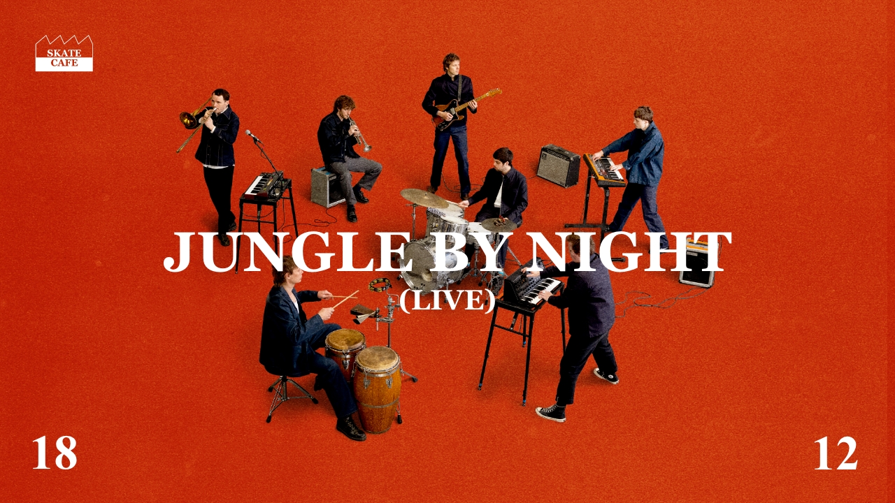 Cover photo for JUNGLE BY NIGHT (LIVE) by Skatecafe Karin & Yvonne