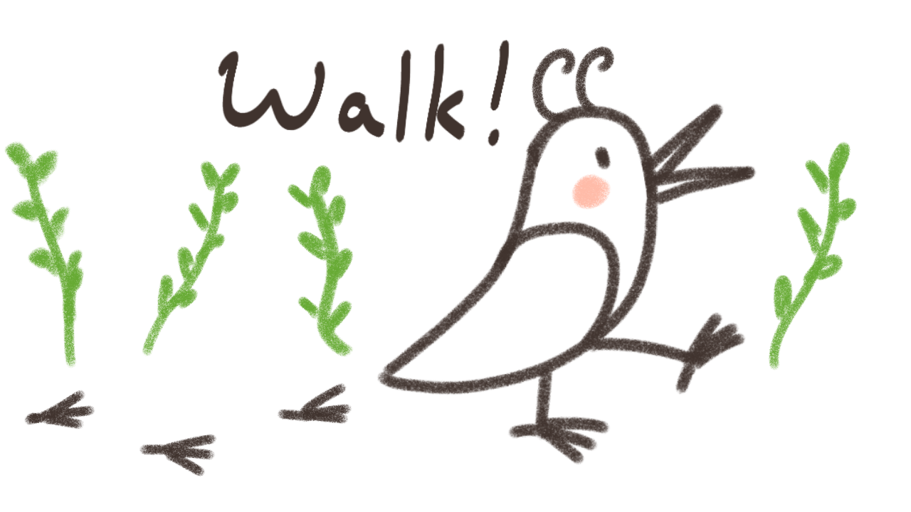 Cover photo for Delft city nature walk, Thursday 26 March by Lilian Walks