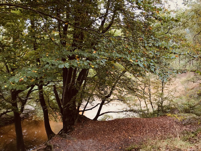 Cover photo for Driestromenwandeling by Groen Hart Leudal