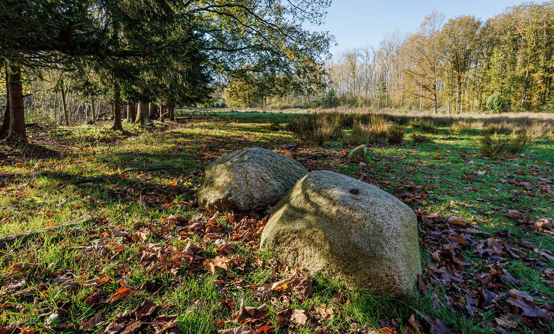 Cover photo for Excursie P. van der Lijn reservaat by Het Flevo-landschap