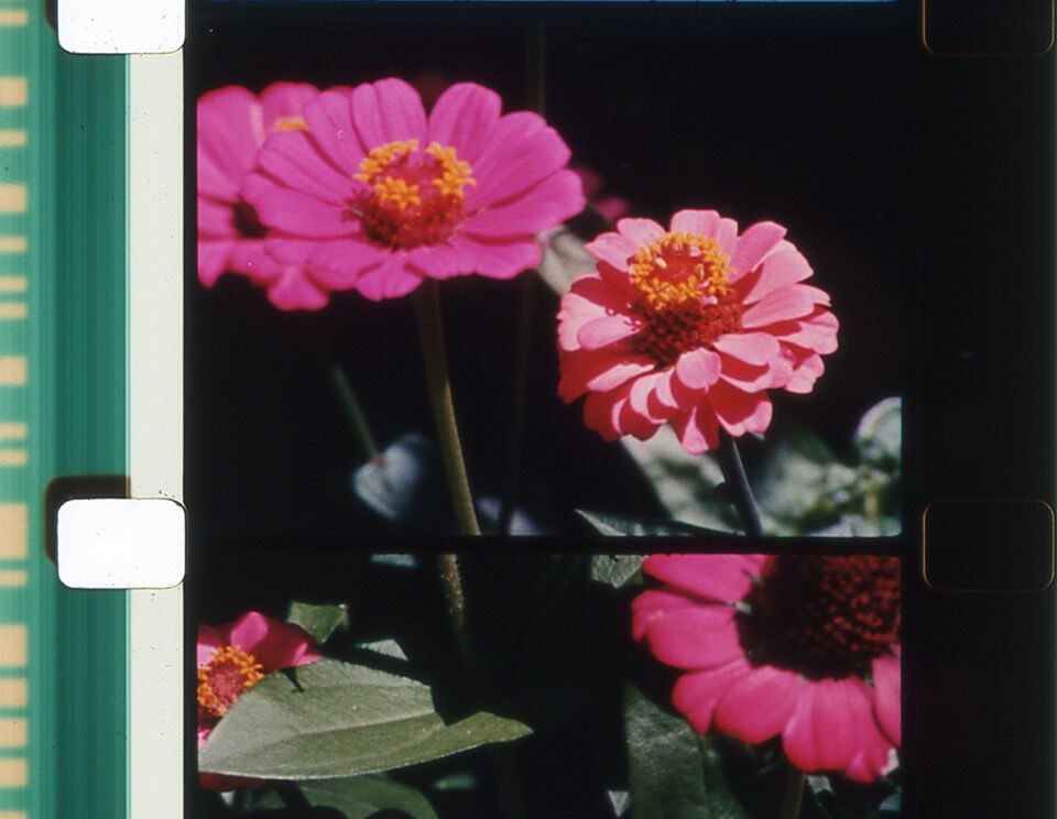 Cover photo for Explore The Löwenbräukunst Art Centre by Studio Veive