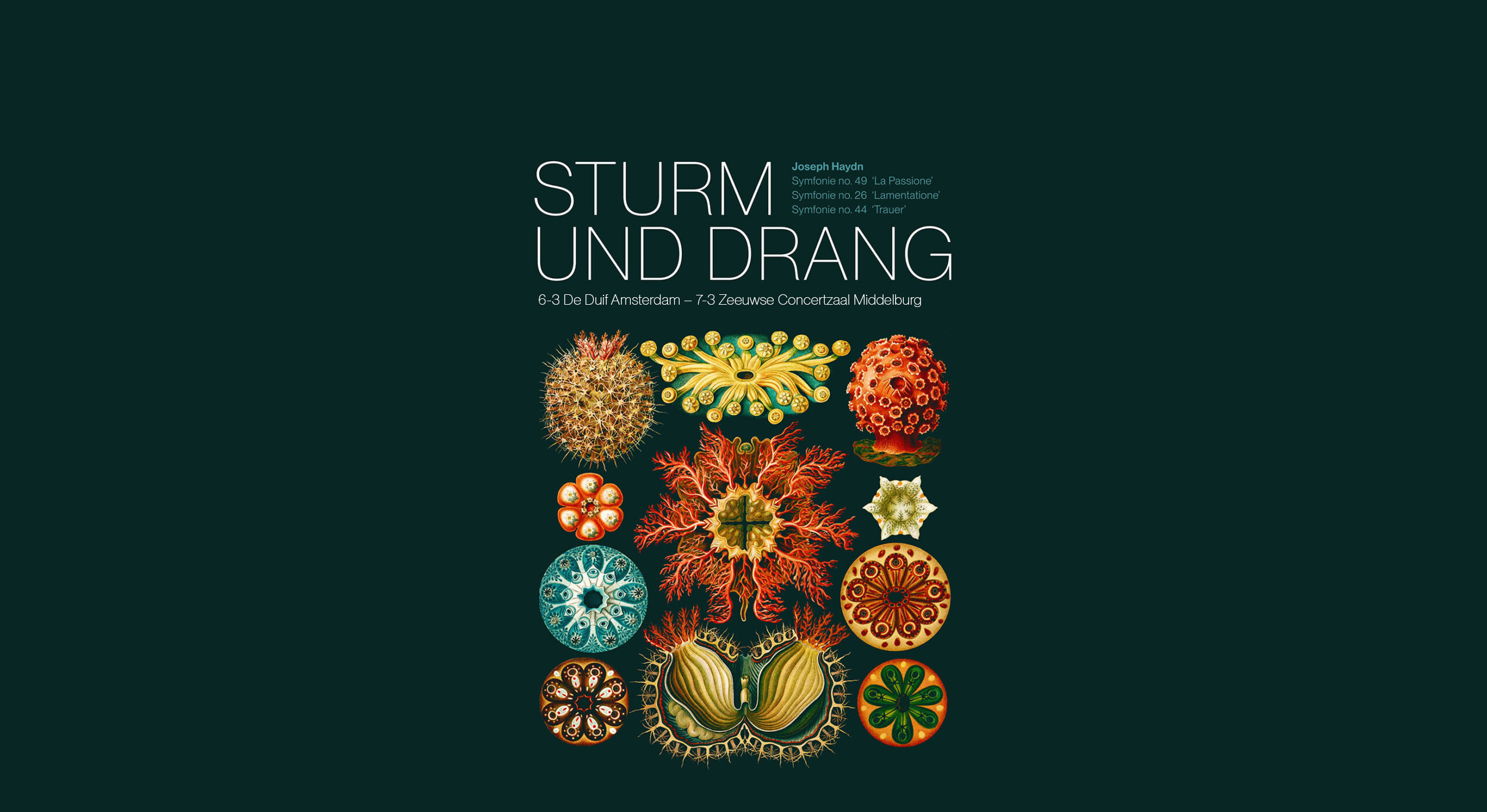 Cover photo for Joseph Haydn - Sturm und Drang by Orkest van de Achttiende Eeuw