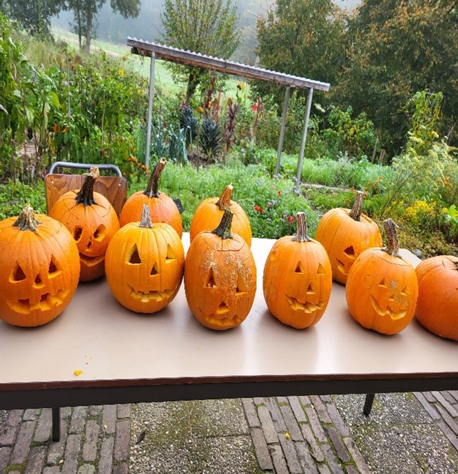 Cover photo for Kom pompoenen uithollen voor Halloween! by Groen Hart Leudal