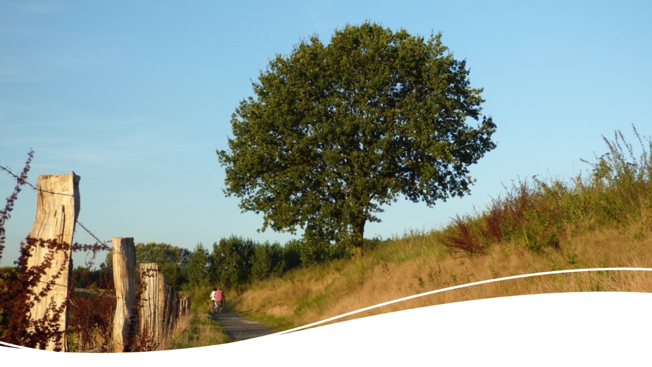 Cover photo for Fietsrouteconcert route 1 by Muziekfestival ZOOM!