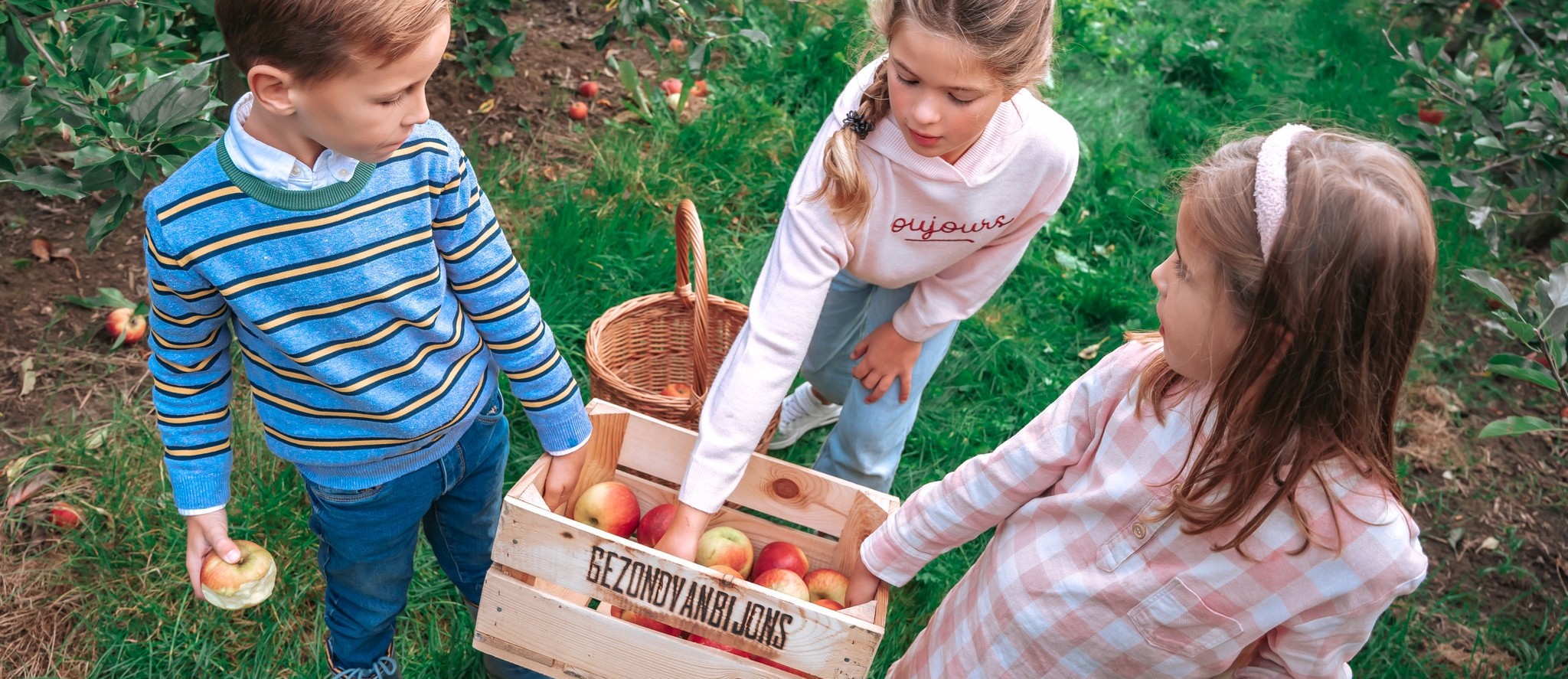 Cover photo for Fruitplukdag Gezond van bij Ons by Gezond van bij Ons