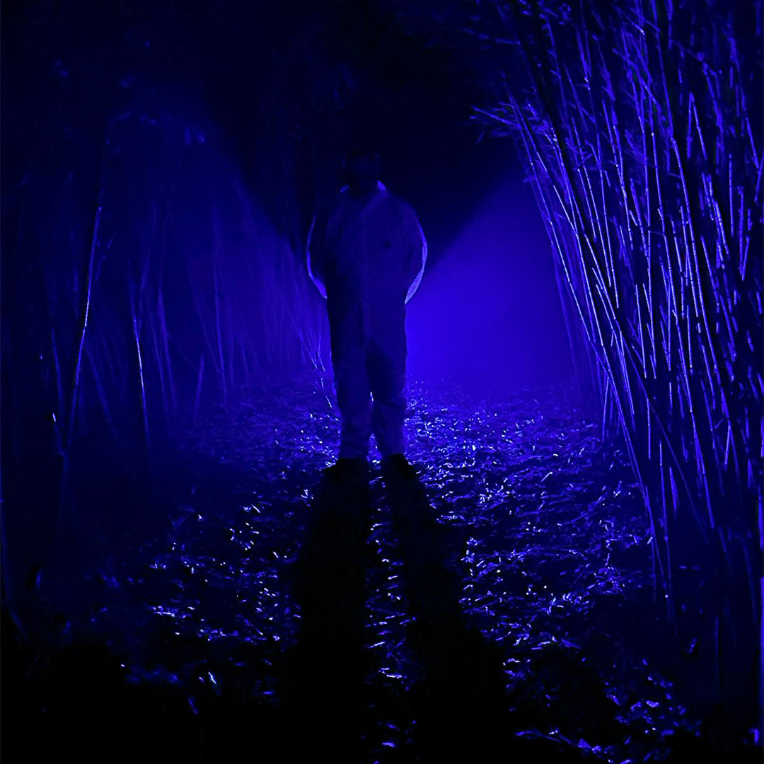 Cover photo for Halloween bij Buitenpost by Buitenpost