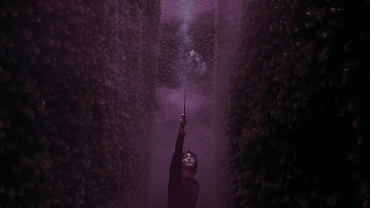 Cover photo for Harry Potter and the Goblet of Fire by Stichting Grote of Sint-Jacobskerk