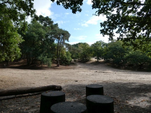 Cover photo for Herfstwandeling in stiltegebied Asbroekerheide tussen Roggel en Heibloem. by Groen Hart Leudal