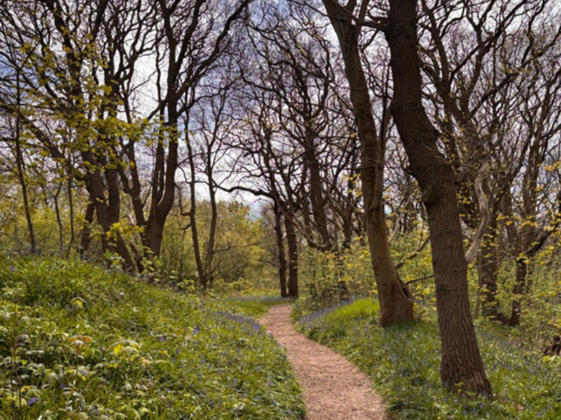 Cover photo for Natuurwandeling Ockenburgh by Theater Villa Ockenburgh