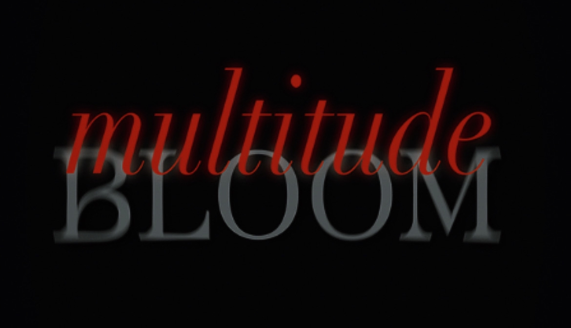 Cover photo for multitude - BLOOM by s.selensky