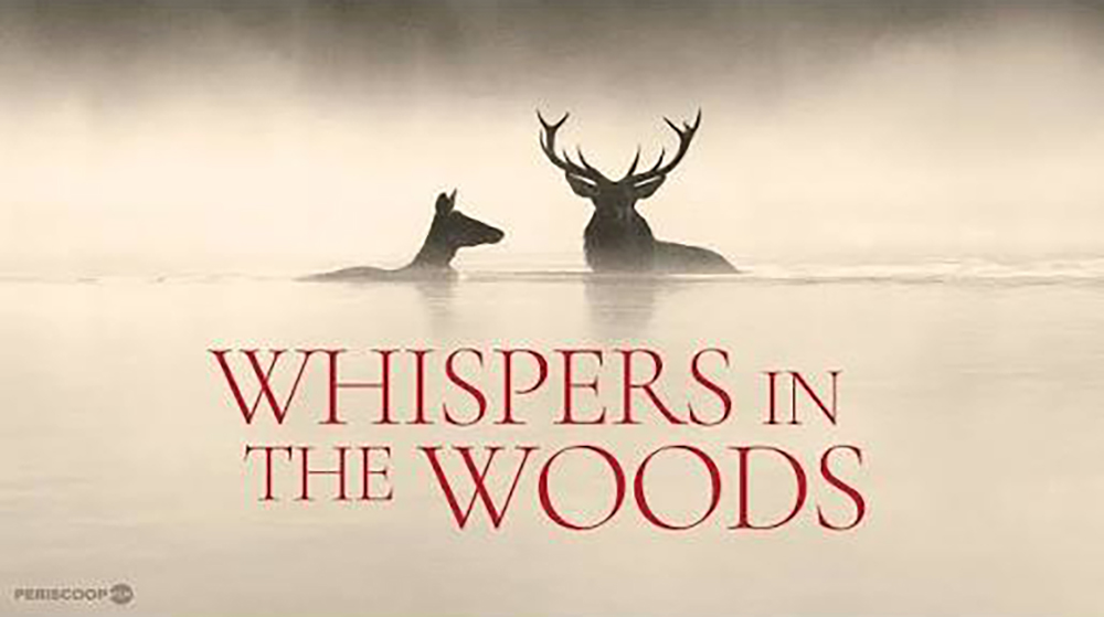 Cover photo for Filmavond voor vrijwilligers by Utrechts Landschap