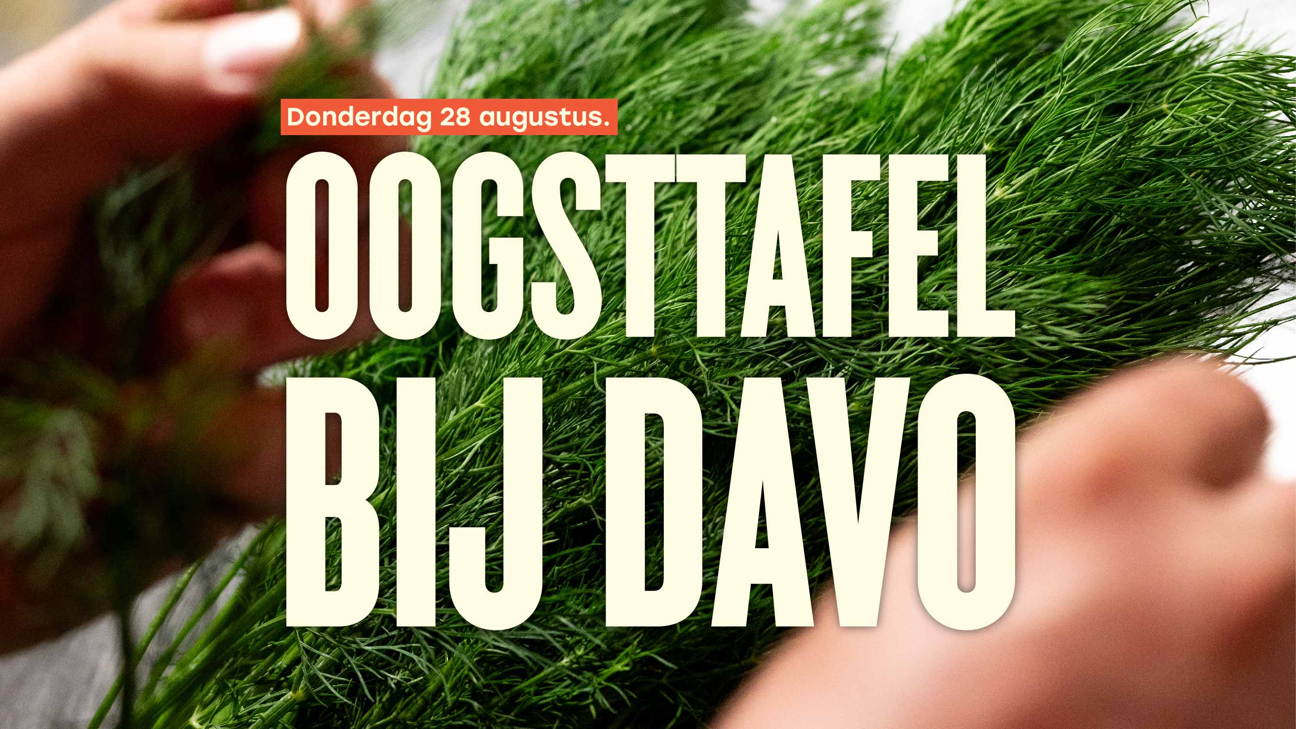 Cover photo for Oogsttafel bij DAVO by DAVO proeflokaal Deventer