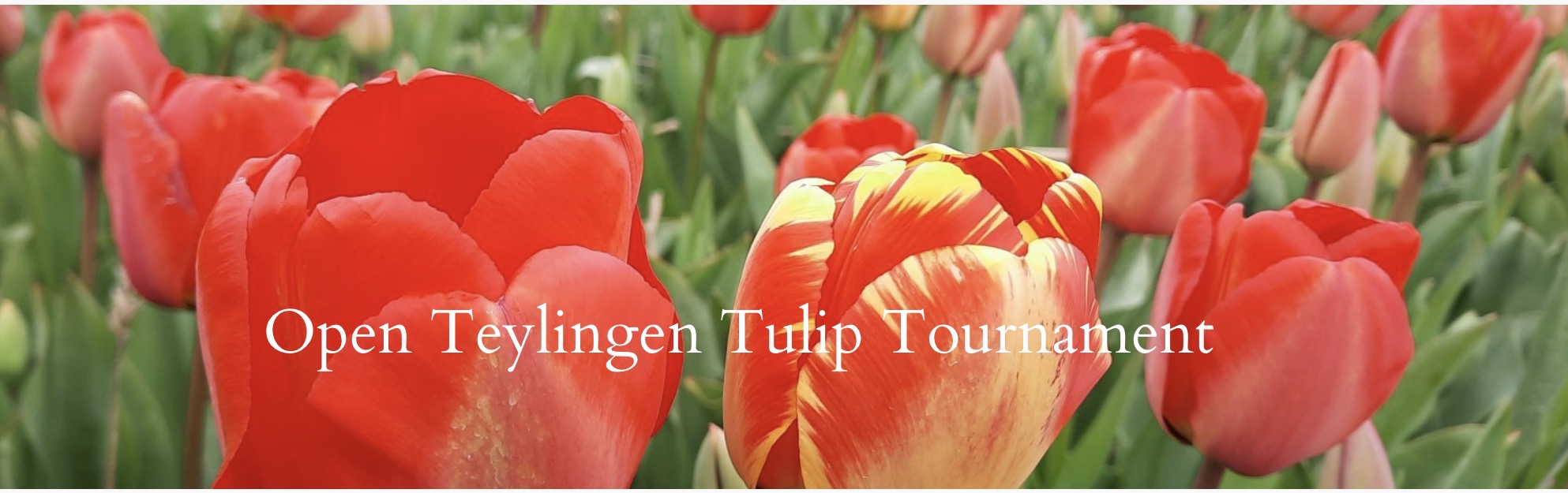 Cover photo for Open TTT by MHC Voorhout