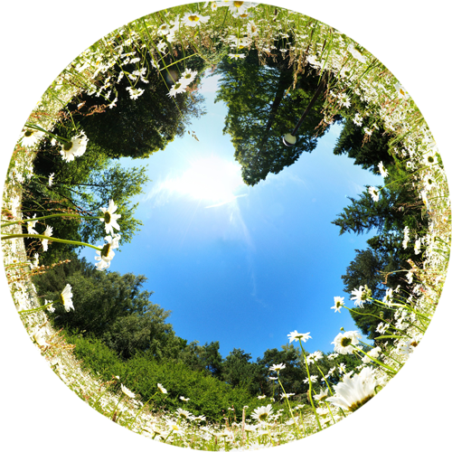 Cover photo for Ozewiezewoze by Stichting SoWhat