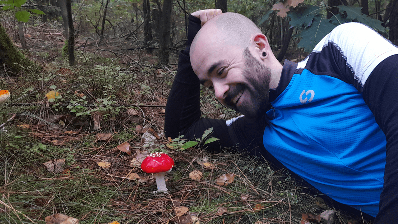 Cover photo for Paddenstoelenwandeling 25 oktober 2025 by Maashrooms