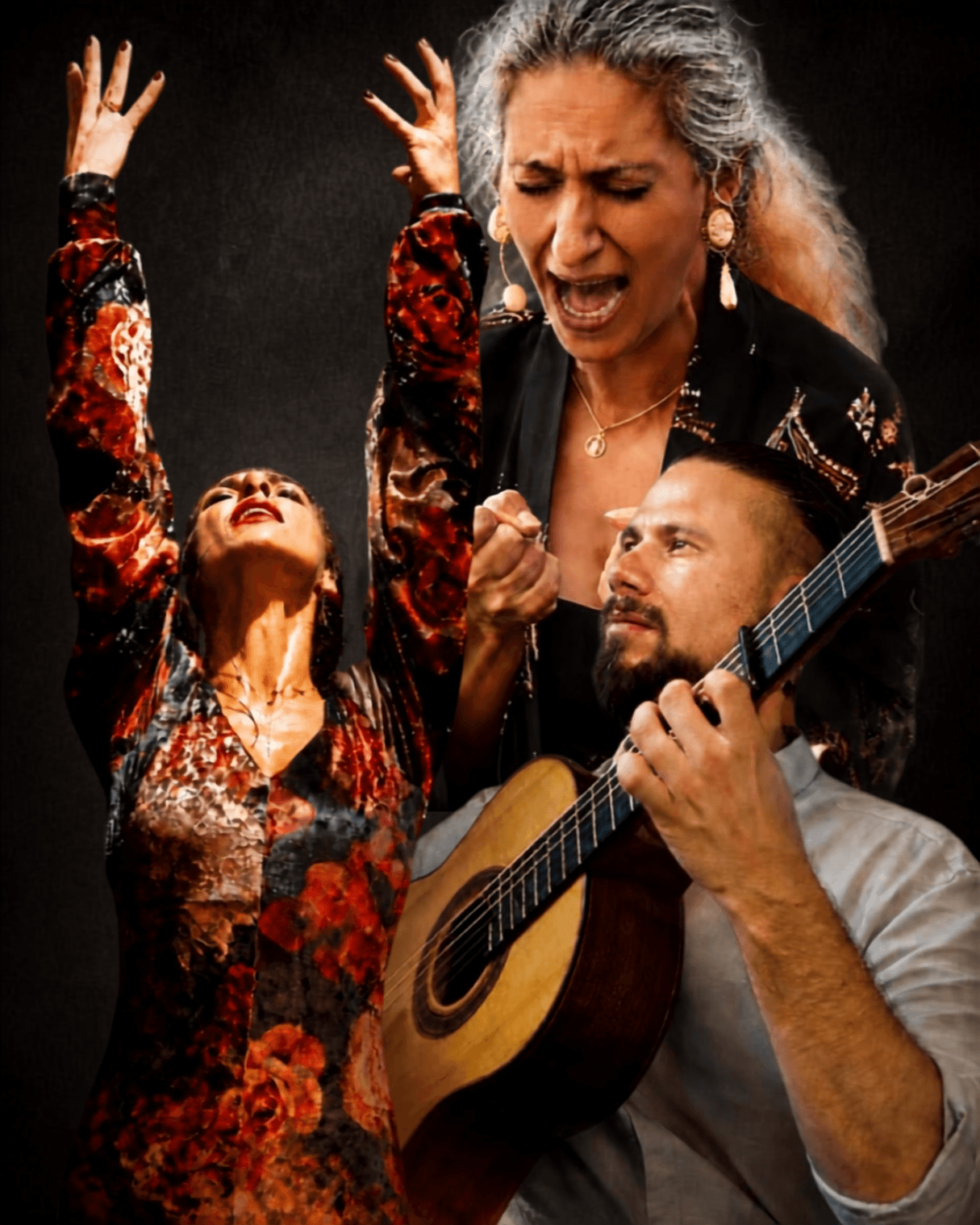 Cover photo for TABLAO FLAMENCO by Het Batavierhuis