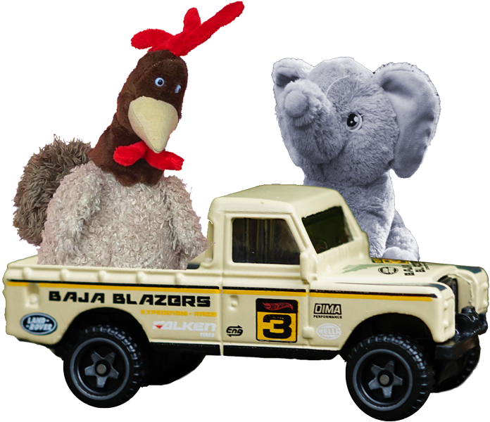 Cover photo for Tokkie op safari by Stichting SoWhat