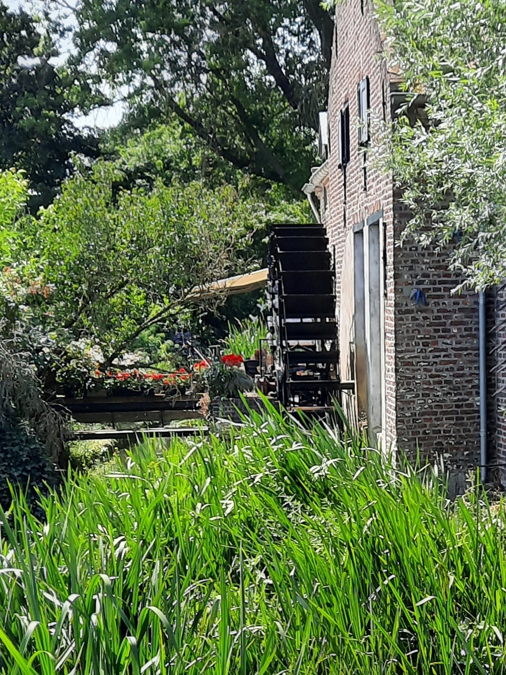 Cover photo for Ontdek de natuur van Neeritter tijdens een bijzondere wandeling langs de Itterbeek by Groen Hart Leudal