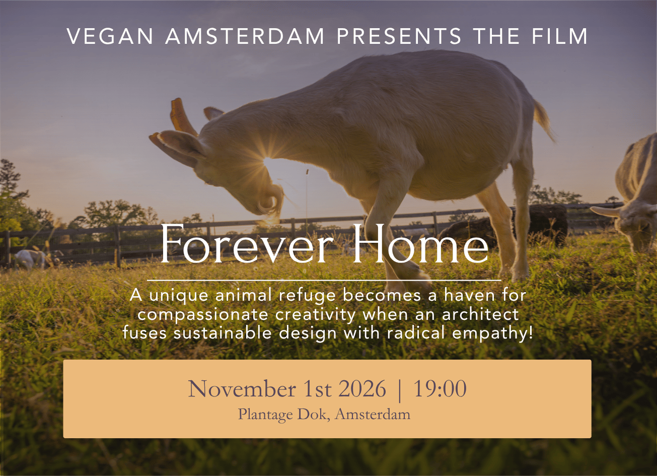 Cover photo for World Vegan Day movie night by Vegan Amsterdam
